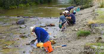 6 Unique Experiences In Quaint Dawson City, Canada - TravelAwaits