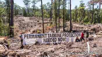 Greens accuse Tasmanian govt of 'decades of illegal logging' after flaw in law revealed