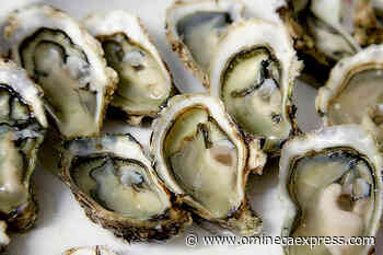 US FDA reports 91 cases of norovirus linked to BC oysters – Vanderhoof Omineca Express - Omineca Express