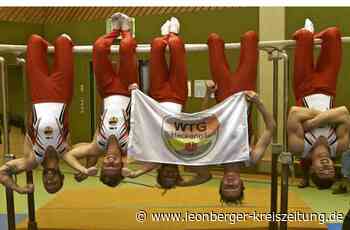 Turnen - Ins Finale geht’s als Tabellenführer - Leonberger Kreiszeitung