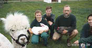 Nieuwe dierenloods Artemis, open schooldag en lenteverkoop op Tuinbouwschool Melle - Het Laatste Nieuws