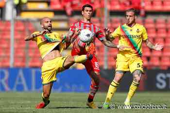 Ternana, Palumbo e Proietti suonano la carica in vista di Crotone - Calcio Fere