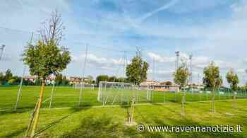 A Massa Lombarda prosegue la manutenzione del verde pubblico per 160mila euro - ravennanotizie.it