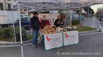 Prevenzione tumori, la Lilt compie 100 anni: ecco le iniziative a Massa-Carrara - La Voce Apuana