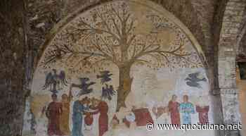 Massa Marittima: l'albero e l'affresco - Itinerari - QUOTIDIANO NAZIONALE