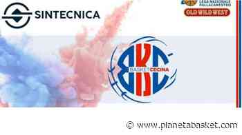 Serie B - Una Sintecnica Cecina rimaneggiata cade a Borgomanero - Pianetabasket.com