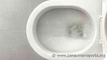 Smarter: Weird Things Found in Toilets - Consumer Reports