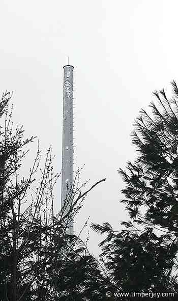 Echo Trail cell tower makes sudden appearance - Tower Timberjay News