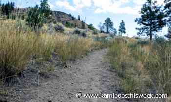 Adopt a road/trail and help keep Kamloops beautiful - Kamloops This Week