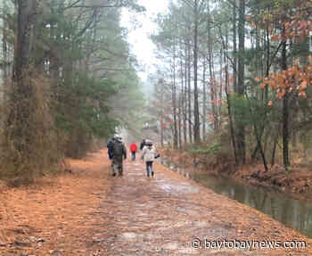Celebrate Maryland State Park Week, participate in trail maintenance at Janes Island - Bay to Bay News