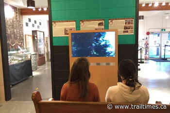 Greater Trail arts community benefits from provincial funding - Trail Times