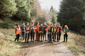 The Tweed Valley Trail Association Collaborates With BASE College for Trail Work - Pinkbike.com