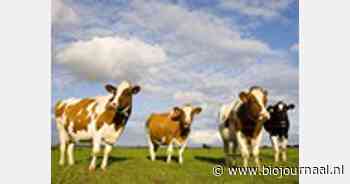 Wat als we al ons voedsel van eigen bodem halen? - BioJournaal.nl