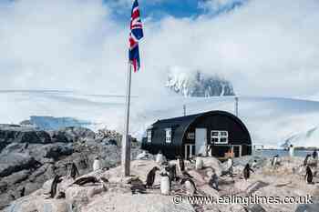 Staff wanted to watch penguins and run gift shop in Antarctica - Ealing Times