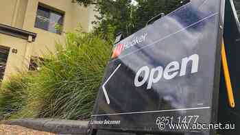 Proposed changes to Canberra's real estate laws seek to further protect renters and home buyers