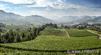 CRONACA - Alba, Canelli, Bra: cooperativa sfruttava lavoratori nelle vigne. Due arresti - CentoTorri