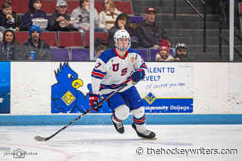 Ryan Chesley- 2022 NHL Draft Prospect Profile - The Hockey Writers