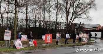 Animal Rights dient nieuwe klacht in tegen slachthuis - Het Laatste Nieuws