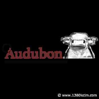 Nick Allan A Comedian Will Be At The St. Patrick's Parish Center In Audubon Later This Month - 1380 KCIM