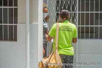 Juazeiro (BA): População pode denunciar focos do mosquito da dengue através do WhatsApp - Blog Edenevaldo Alves