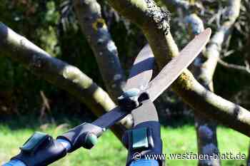 Stadt Verl nimmt Gartenabfälle am Montag an - Westfalen-Blatt