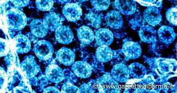 Un altro giorno senza decessi a Parma: ma ci sono 599 nuovi contagi. Un solo paziente in terapia intensiva - Gazzetta di Parma