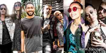 Zeigen Sie Ihren Stil mit den Eigenmarken von EMP - FOCUS Online