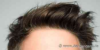 Im Test: Haargel - Mode & Kosmetik - DER STANDARD