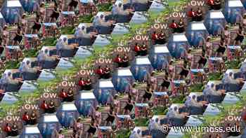 MOSAIC Will Highlight Health Equity Stories by People of Color - UMass News and Media Relations