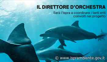 Sarà ISPRA a coordinare gli enti coinvolti nel progetto Life Conceptu Maris - Ispra