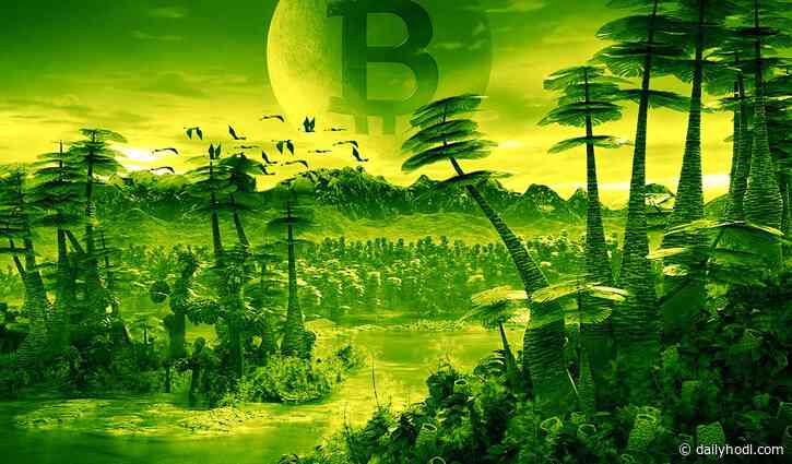 Bitcoin (BTC) Gearing Up for New Rally As Ethereum (ETH) Takes a Breather: Analyst Michaël van de Poppe - The Daily Hodl