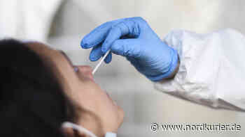 Frau bekommt nach Coronatest Besuch von Anklamer Polizei - Nordkurier