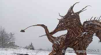 Marco Martalar: «Ecco i miei draghi e i leoni realizzati con il legno della tempesta Vaia» - ilgazzettino.it