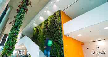 Ein Blick ins Innere: Der Climate Tower am Rheinufer in Bonn ist fertig - General-Anzeiger Bonn