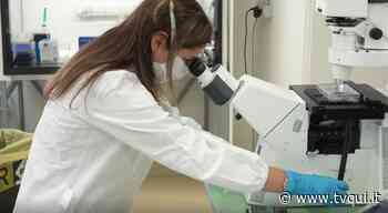 AGGIORNAMENTO COVID: 5353 CASI IN REGIONE. A MODENA 668 POSITIVI E 5 VITTIME, TRA CUI UNA 45ENNE - Tvqui