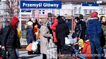 Modena, dalle scuole medie ’Paoli’ un camion di aiuti per i profughi ucraini - il Resto del Carlino