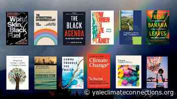 12 books on racial, gender, and environmental/climate justice - Yale Climate Connections