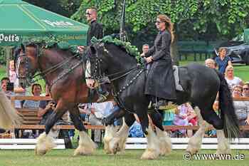 Westfälisches Pferdemuseum nimmt Showprogramm wieder auf