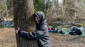 Mein Freund, der Baum: So setzt sich ein Rosenheimer Gymnasium für die Umwelt ein