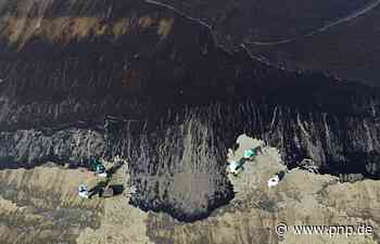 Mit Haaren die Weltmeere bei Ölkatastrophen reinigen - Passauer Neue Presse - PNP.de