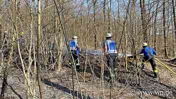 Feuer in Siegen: 800 Quadratmeter Waldboden brennen - WP News