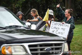 What if the ivermectin craze was never about treating Covid?