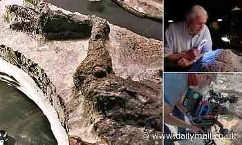 Scientists find fossil from THE DAY the dinosaurs died 66m years ago