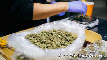 Viewpoint: A high-level view of cannabis supply chain operations, automation and machines - FreightWaves