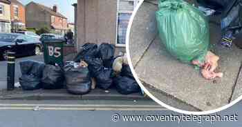 Rats and raw meat have left Coventry neighbourhood in 'horrendous' state - Coventry Live