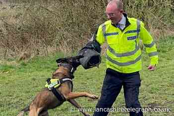 Lancashire Police commissioner takes part in police dog bite training