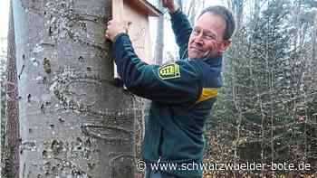 Serie im Kreis Calw: Was der Klimawandel mit dem Wald macht