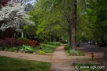 Study: More trees in neighborhoods can improve health, lower medical costs - UPI News
