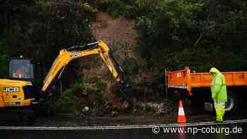 Unwetter - Rekordregen in Sydney - Massen von Krabbeltieren unterwegs - Neue Presse Coburg