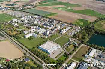 BASF kann Kurzarbeit in Lampertheim nicht ausschließen - Region Bergstraße - Bergsträßer Anzeiger